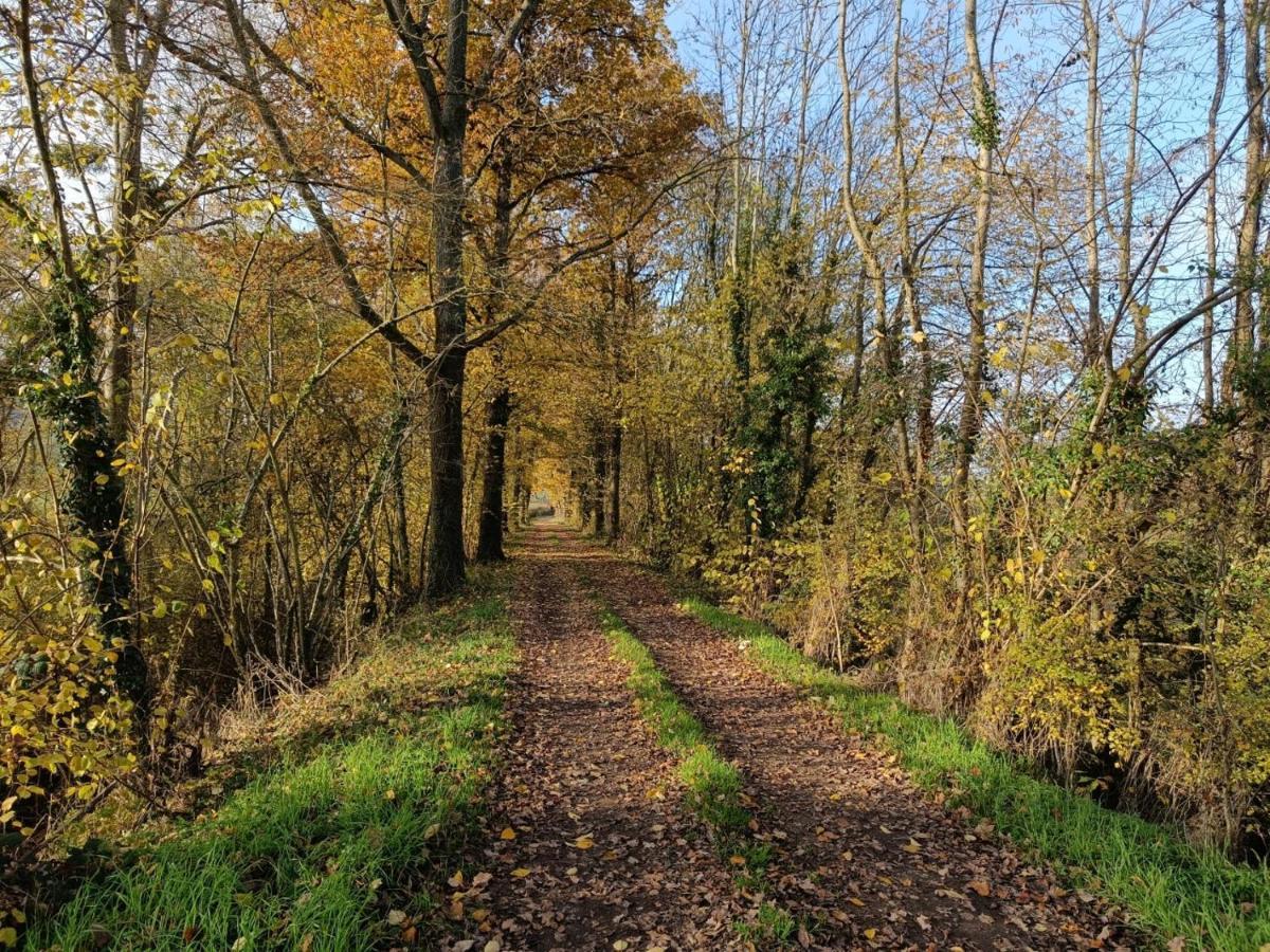 Chez Christy Chemin Des Dinots